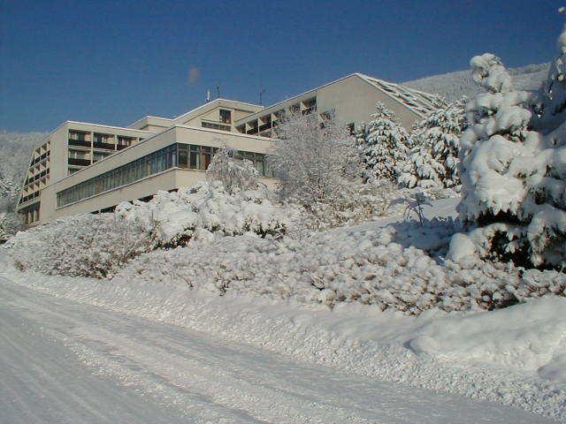 Hotel Petr Bezruc Frýdlant nad Ostravicí エクステリア 写真