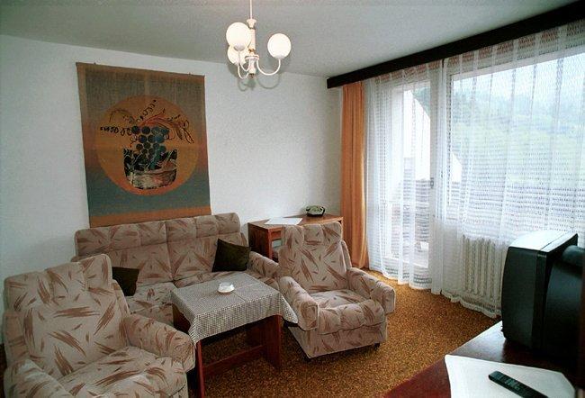 Hotel Petr Bezruc Frýdlant nad Ostravicí 部屋 写真