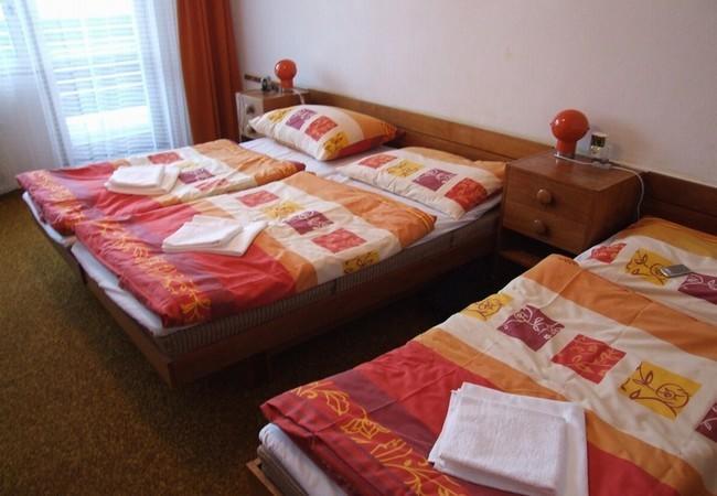 Hotel Petr Bezruc Frýdlant nad Ostravicí 部屋 写真