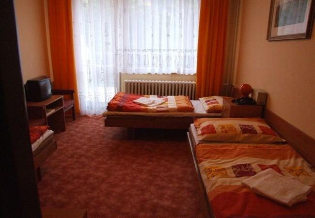 Hotel Petr Bezruc Frýdlant nad Ostravicí 部屋 写真